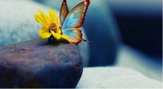 Она ва ўғил муносабати