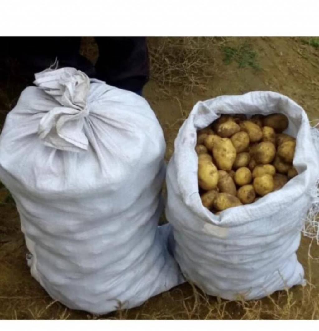 Мешок картошки сколько кг