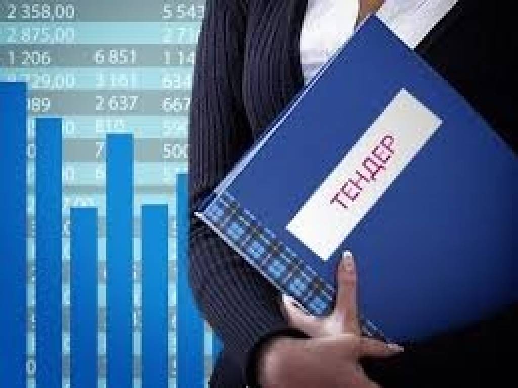 тендеры госзакупки. государственные закупки. тендеры фото. государственное и муниципальное управление. победа в тендере.