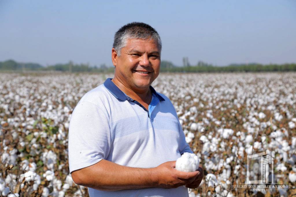 Наманганлик пахтакорлар маррани забт этди