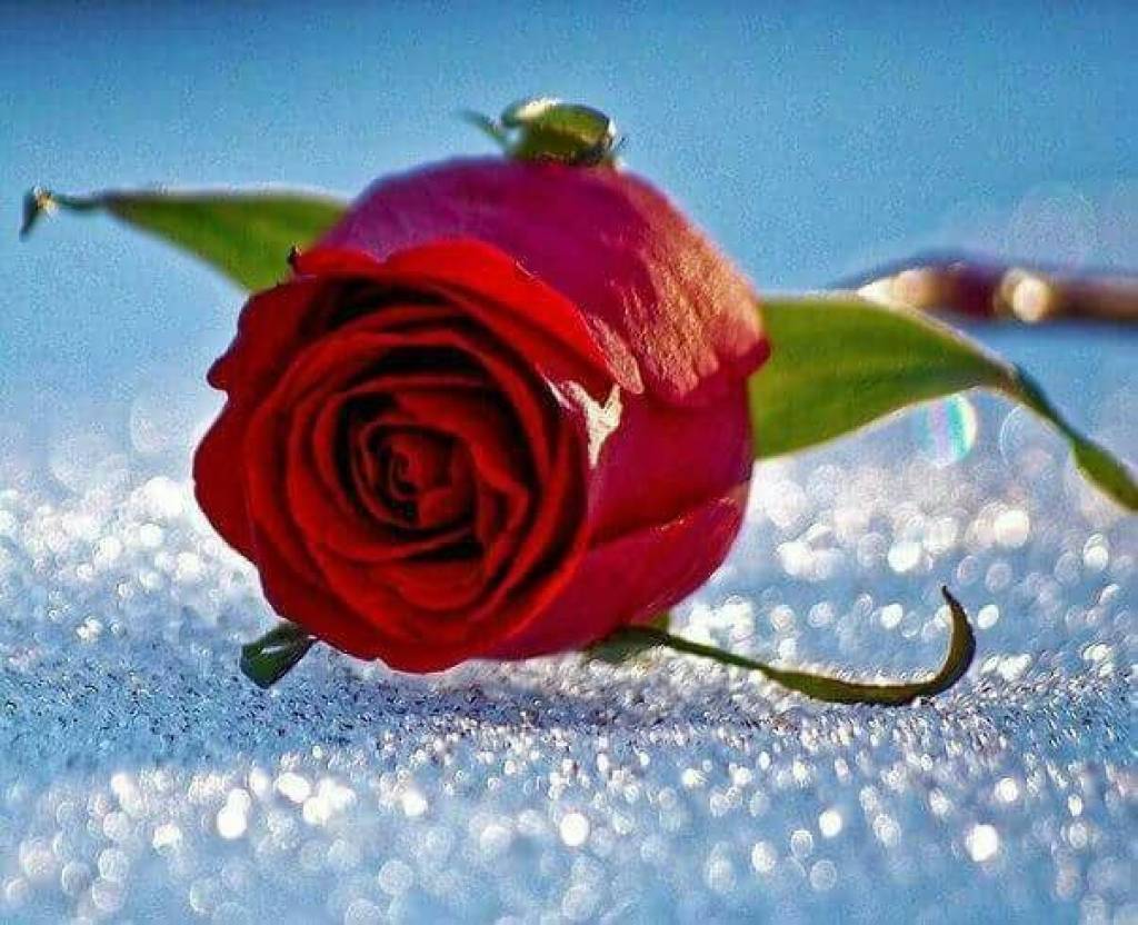 Юнусобод метросидаги фалокатда 20 ёшли бўз йигит ҳам вафот этди