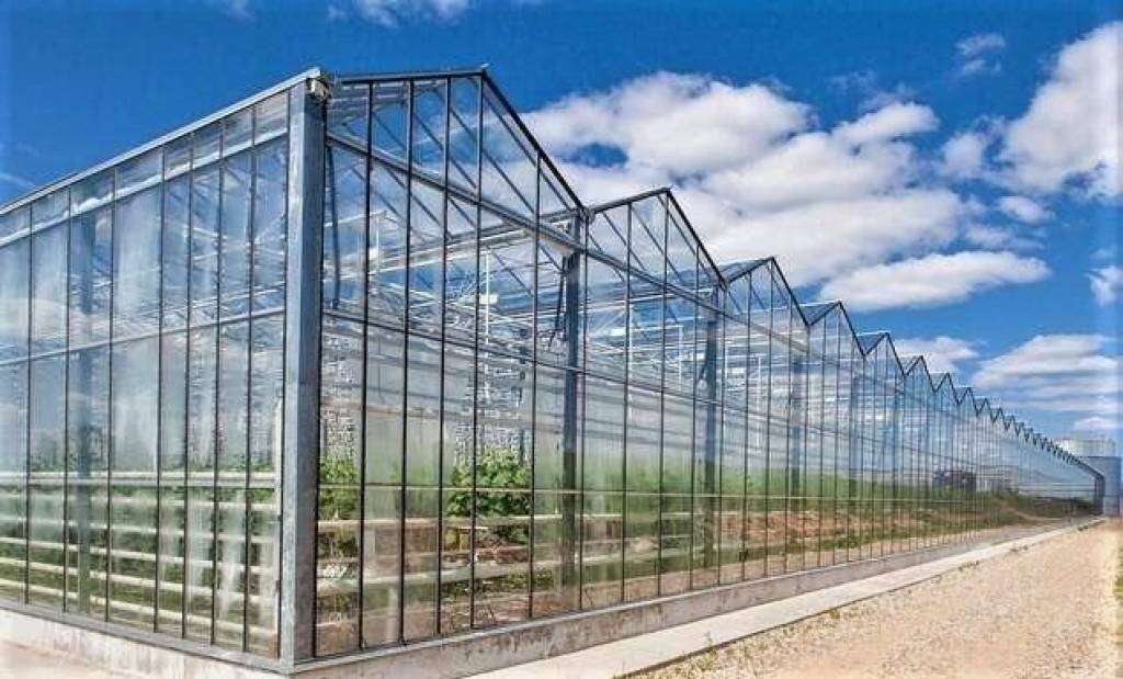 Усть джегута тепличный комбинат. Стеклянная теплица. Дубки ярославская область тепличный комбинат. Тепличный комбинат буздякский. Тепличный комбинат толмачевский.