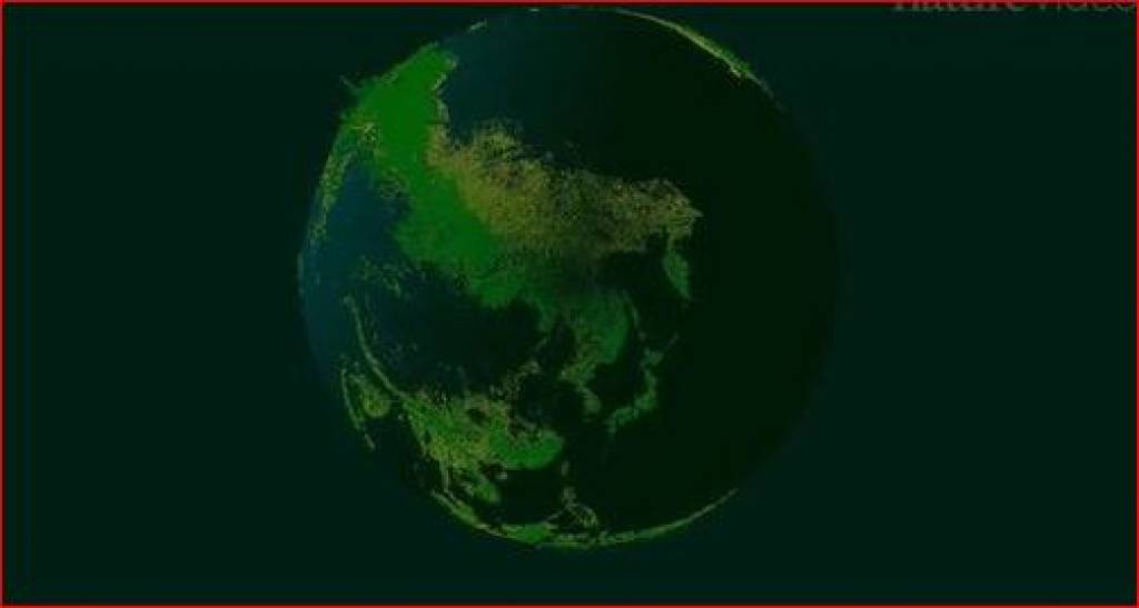 Ер юзидаги дарахтлар сони ҳисоблаб чиқилди 