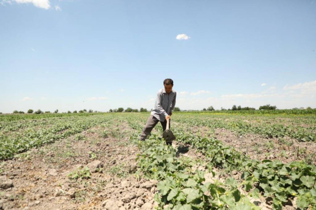 Предпринимателям и безработной молодежи оказывают помощь