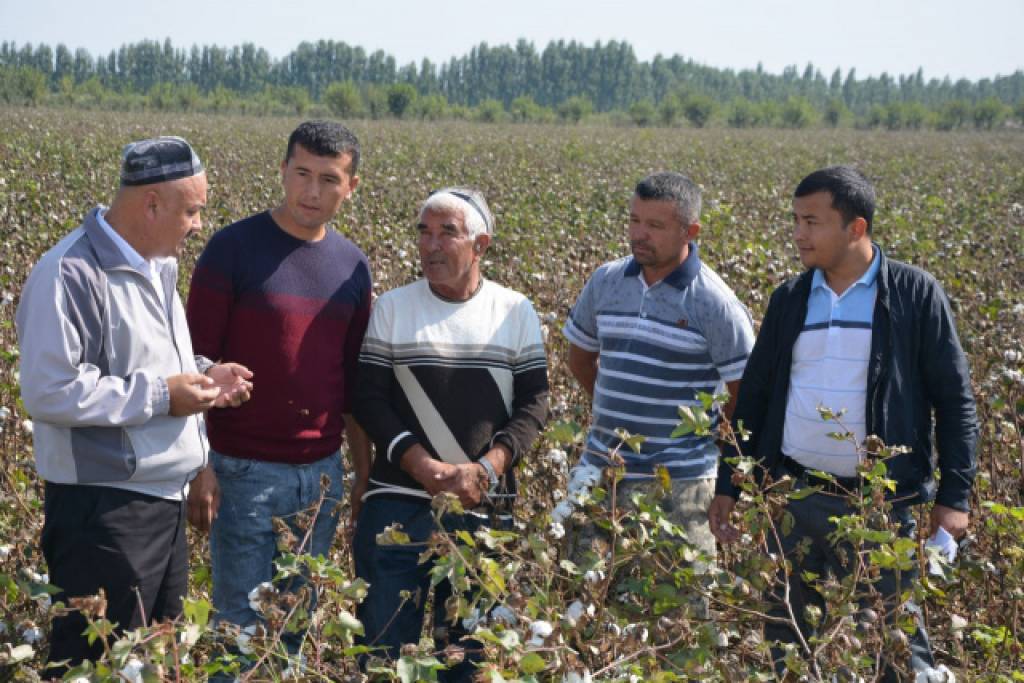 Тошлоқ тумани ҳам пахта режасини бажарди