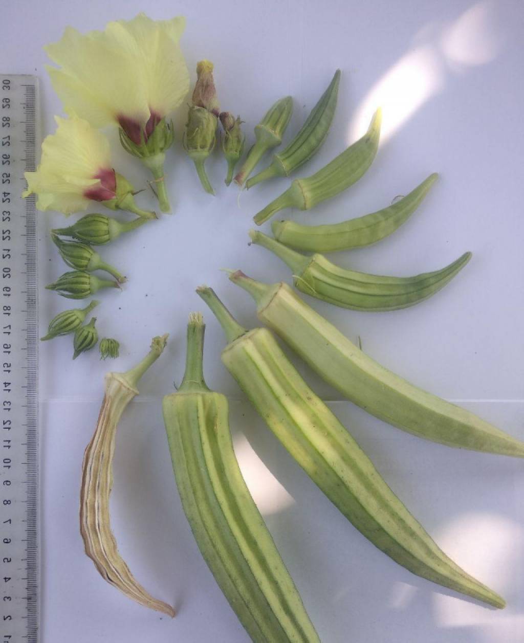 Илм-фан ютуқлари