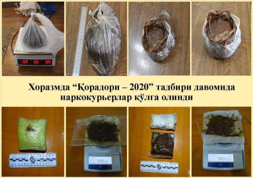 Хоразмда наркокурьерлар қўлга олинди