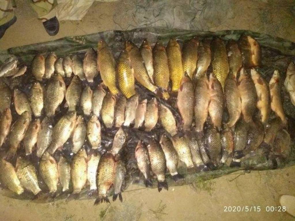 Ловили занесенную в Красную книгу рыбу