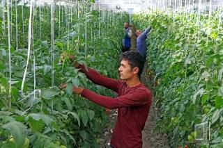 Многопрофильное производство 