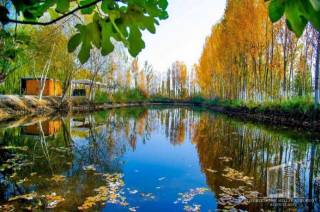 Күзгі көрініс