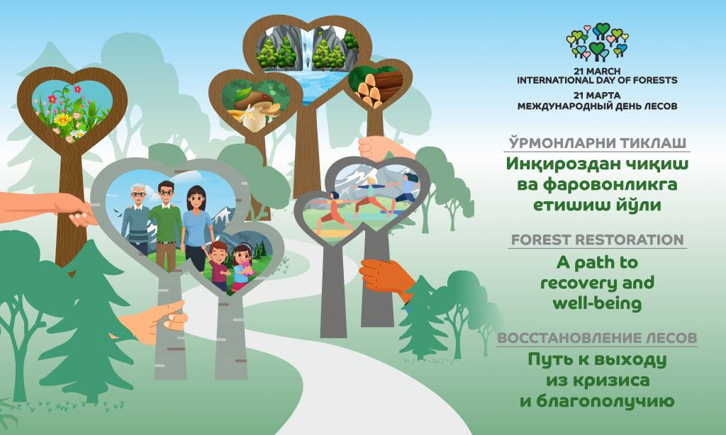 День леса в мире. Международный день лесов. Всемирный день леса. Международныйдкнь лесов.