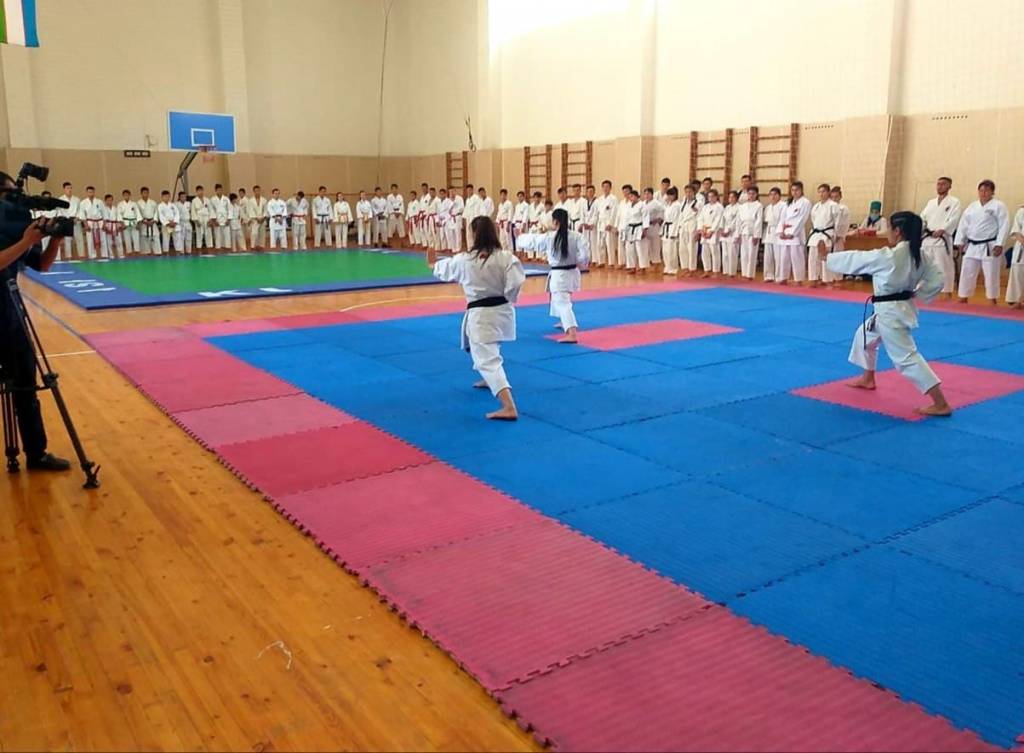 ITKF Karate do