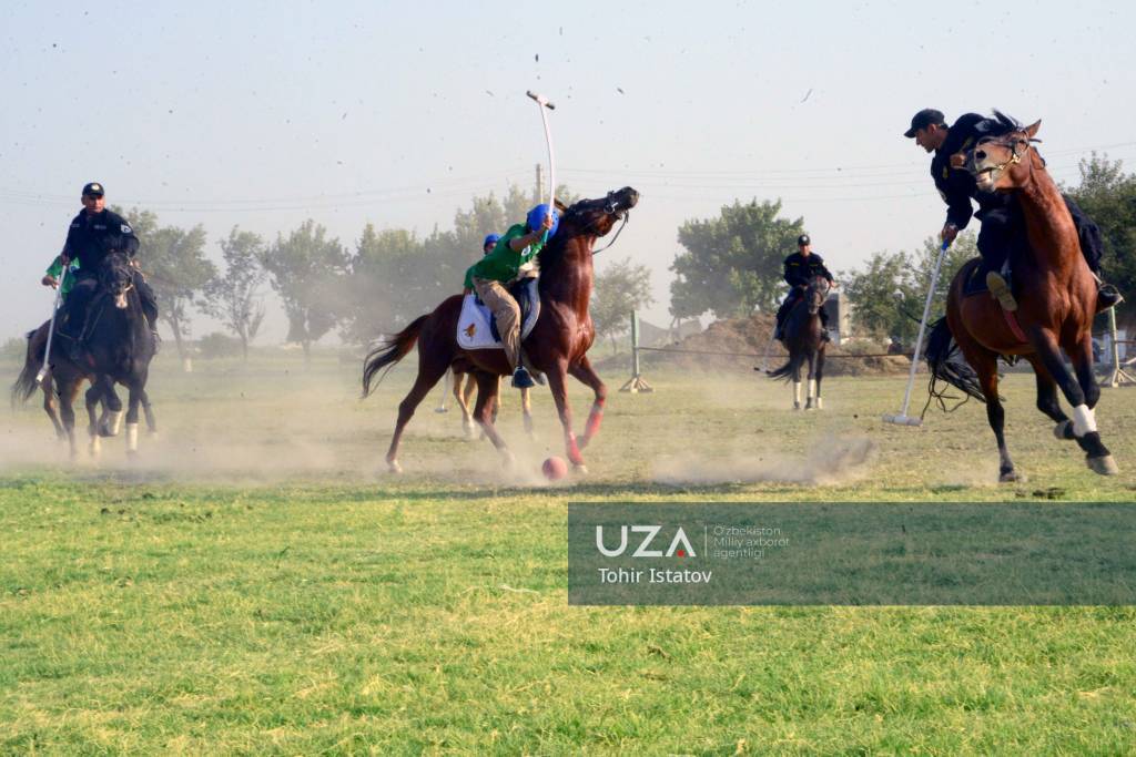 Захватывающие соревнования