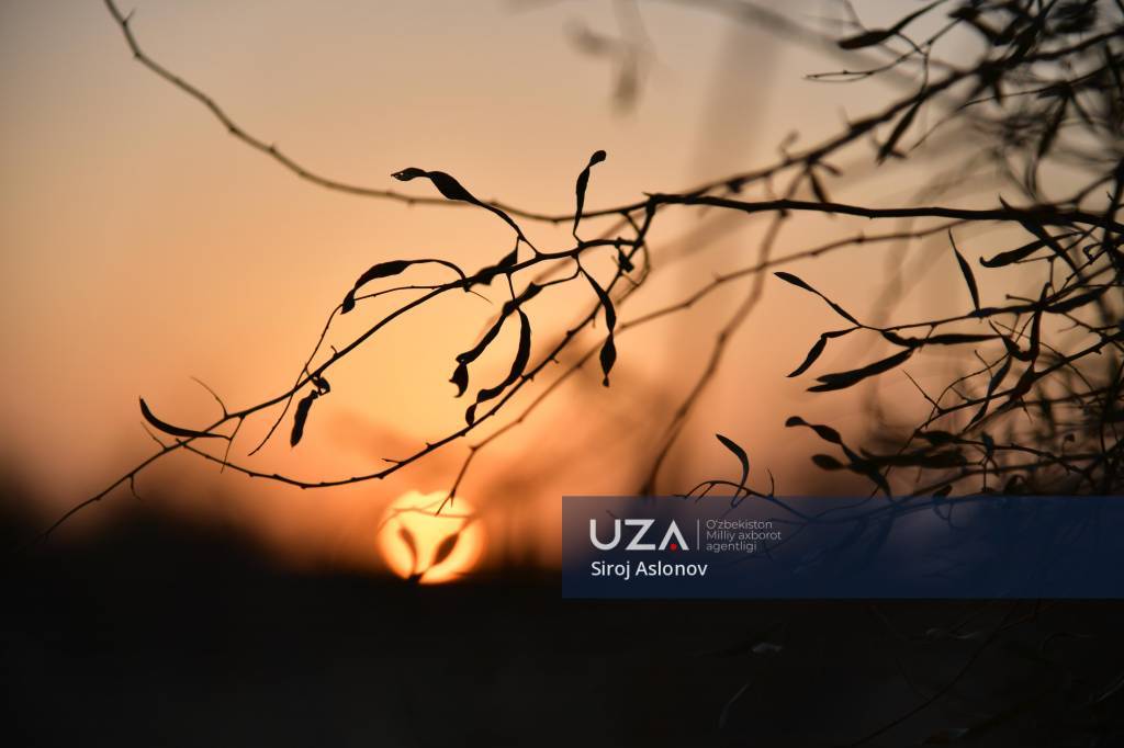 Qizilqum sahrosi mo‘jizalari