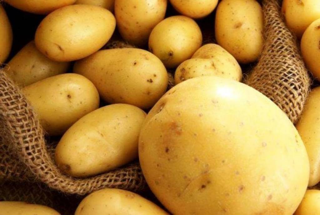 Сорт Картофеля Крона Характеристика Отзывы Фото