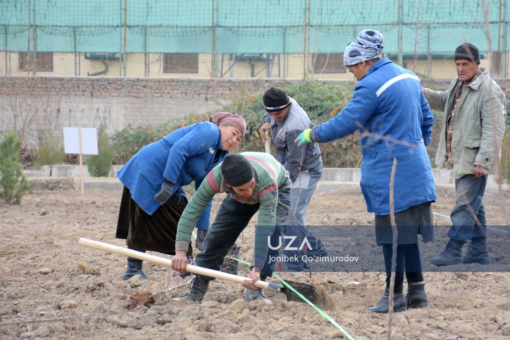 “Yangi O‘zbekiston” bog‘i barpo etilmoqda