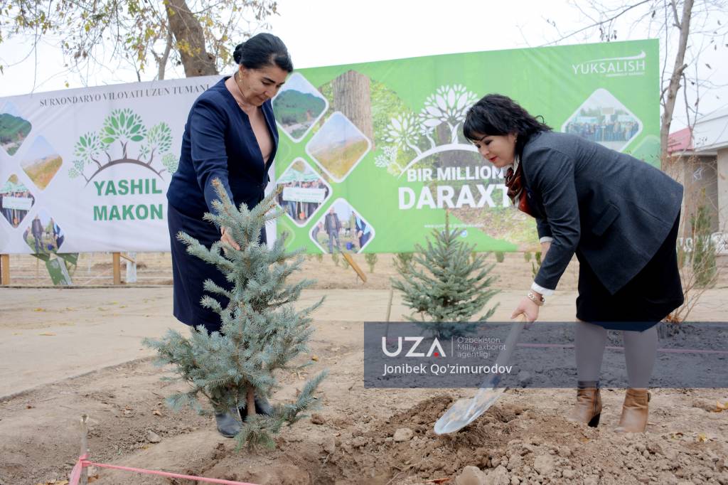 “Yangi O‘zbekiston” bog‘i barpo etilmoqda