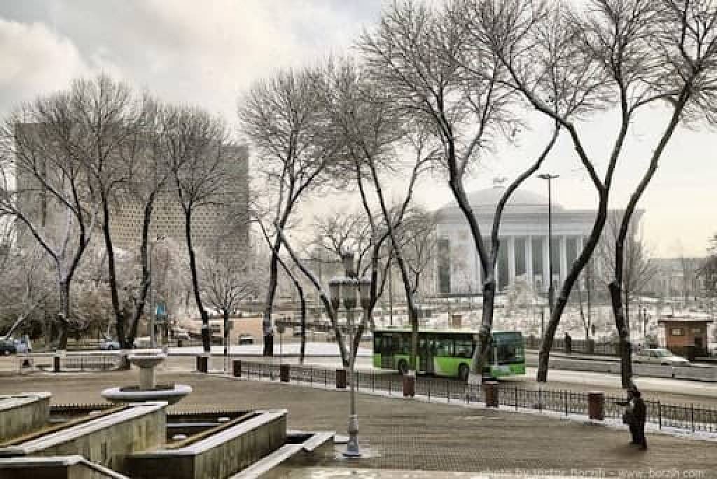 Ташкент январь. Узбекистан Ташкент зимой. Зима в Узбекистане Ташкент. Ташкент в январе. Снег в Ташкенте.