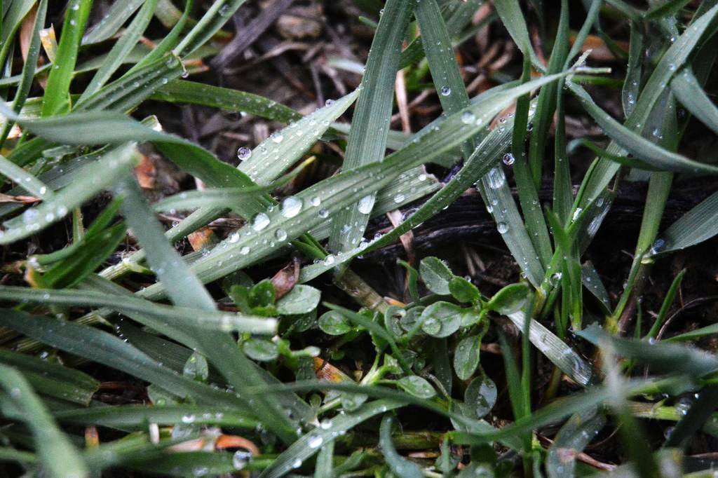 18 апрель куни кутилаётган об-ҳаво маълумоти