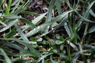 18-aprel kuni kutilayotgan ob-havo ma’lumoti