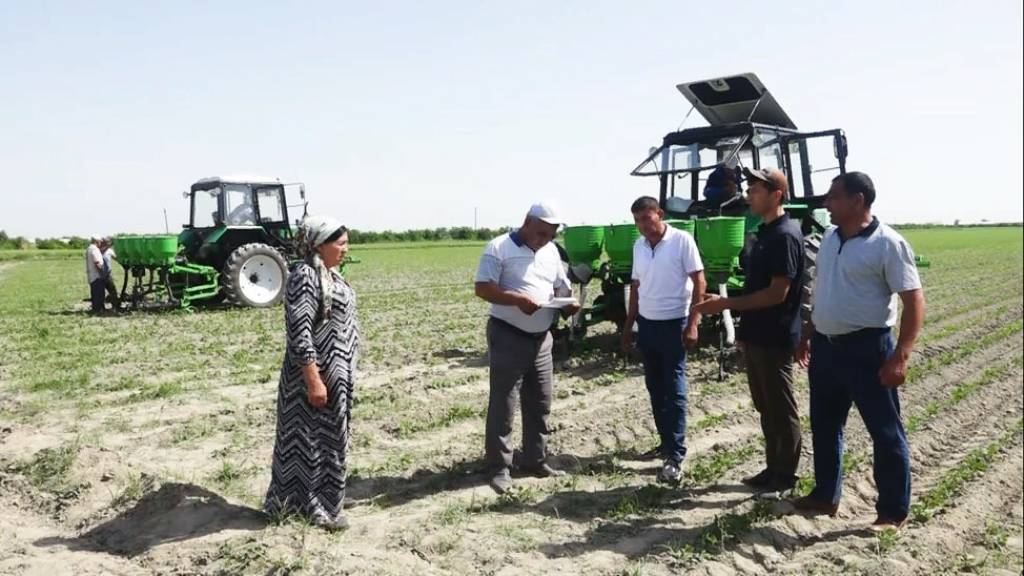 1200 гектар. Соя экини етиштириш. Азамат Султонов agroklaster. 200 Га фото. Buxoro Qorako'l.