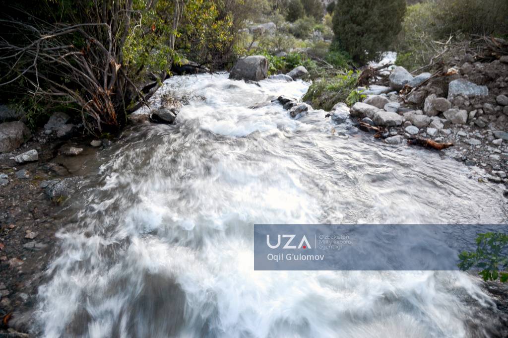 Saratov shahrida bepul jinsiy aloqa uchun shaxsiy xabarlar