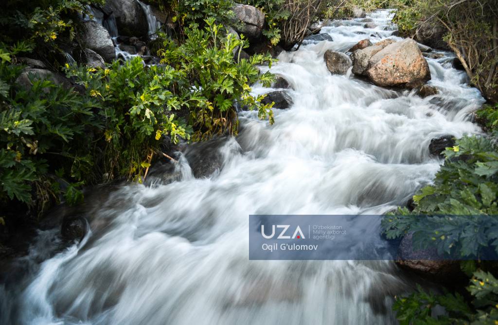 Elena Vaenga seks porno arxivi