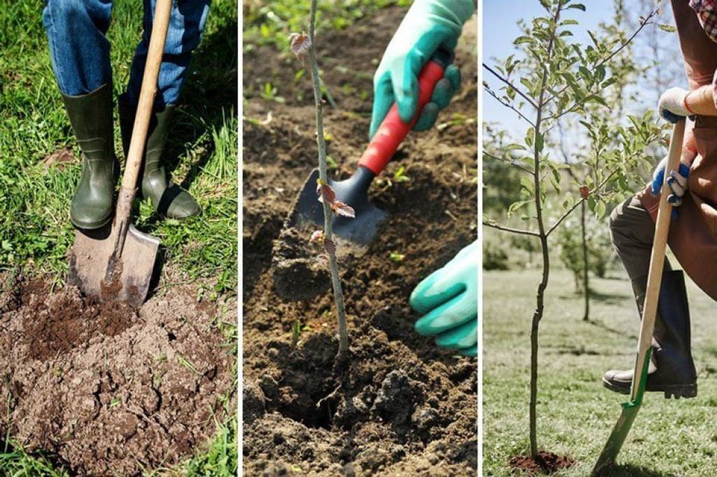 Seks qul porno onlayn film