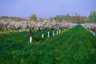 Прогноз погоды на 28 марта