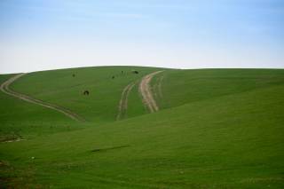 Юртимиз бўйлаб 11 апрель куни кутилаётган об-ҳаво маълумоти