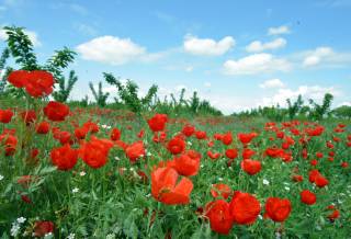 Прогноз погоды на 29 апреля