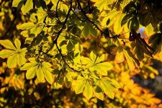 12 ноябрь куни кутилаётган об-ҳаво маълумоти