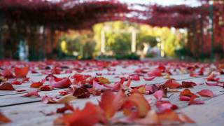 10 ноябрь куни кутилаётган об-ҳаво маълумоти