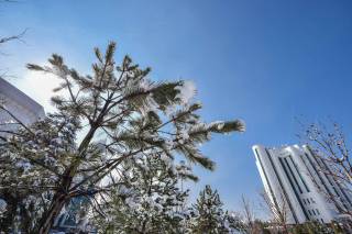 10 февраль куни кутилаётган об-ҳаво маълумоти