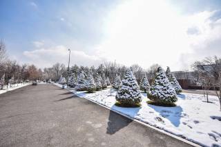 25 декабрь куни кутилаётган об-ҳаво маълумоти