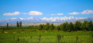 30 август куни кутилаётган об-ҳаво маълумоти