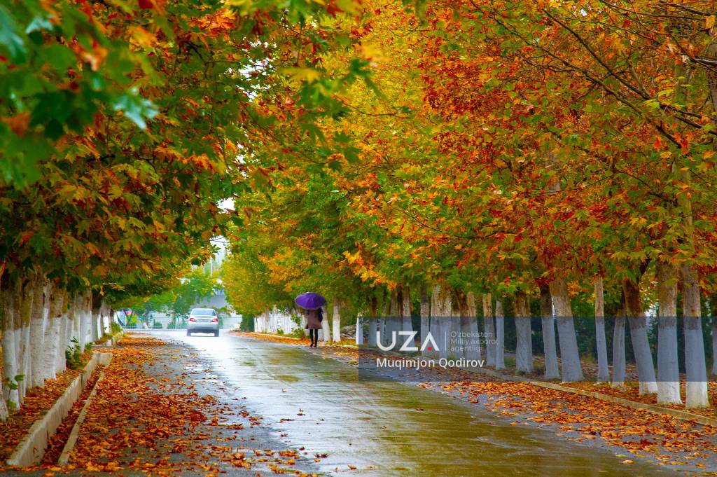 Kamera oldida yechinayotgan etuk ayollar videosi