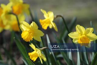 Прогноз погоды на 12 апреля