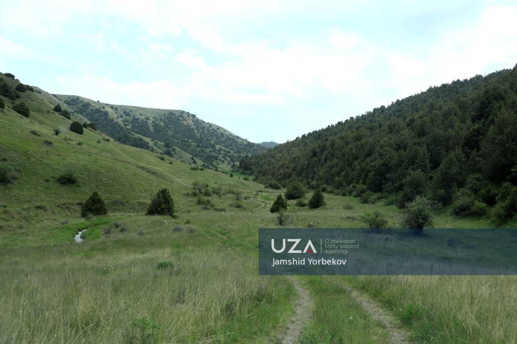 Zomin davlat qo‘riqxonasida bir kun