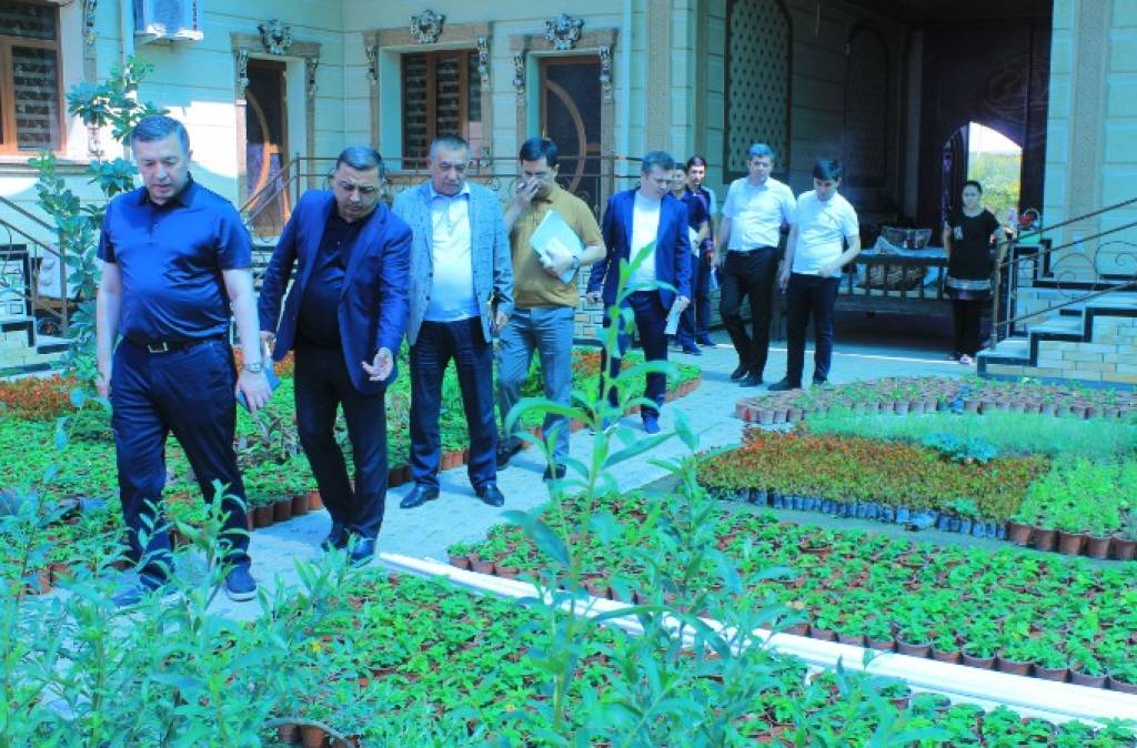 Kambag allikni qisqartirish va bandlik vazirligi