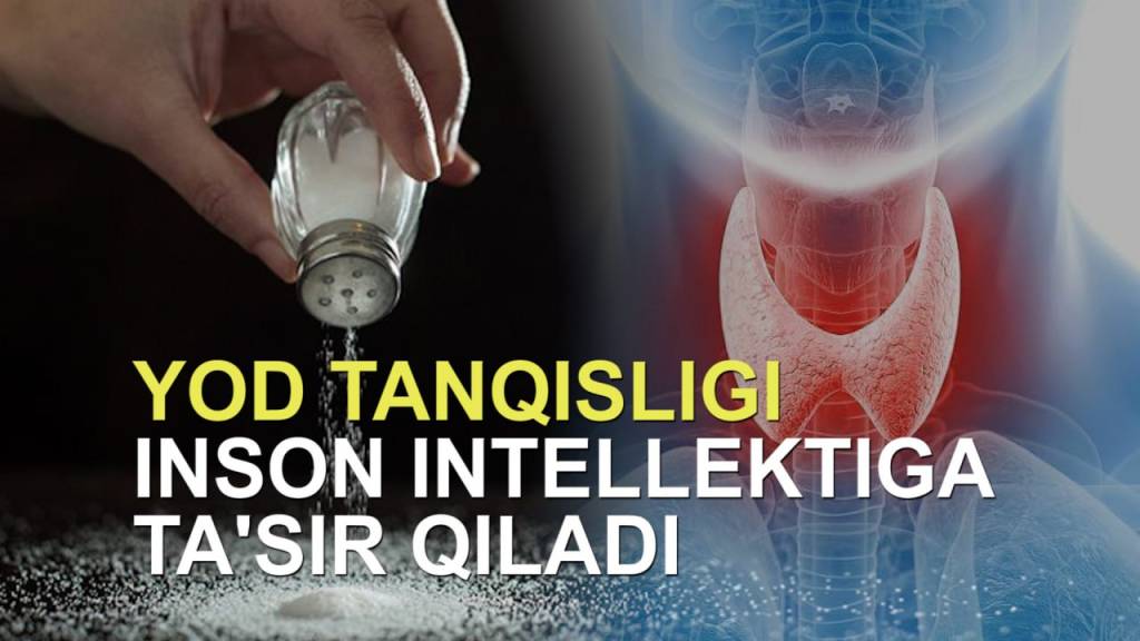 Yod tanqisligi inson intellektiga ta’sir qiladi (+video)