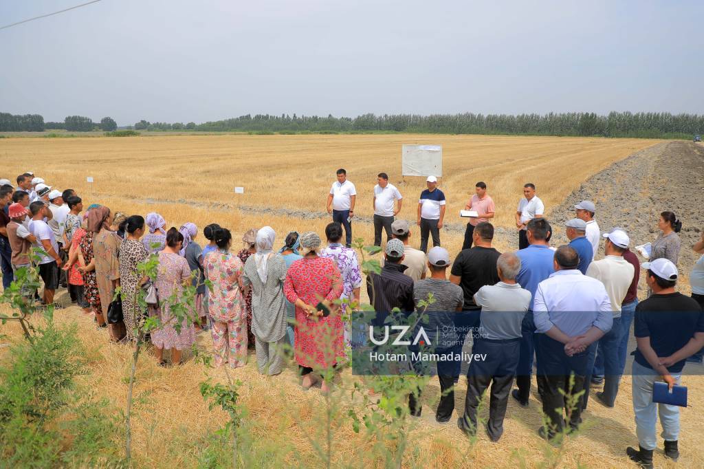 В Папском районе освободившуюся от зерновых землю передадут нуждающимся жителям