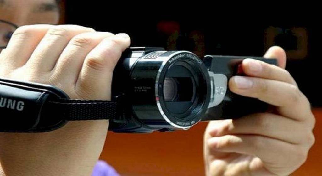 Hol külotdagi mushuk surati