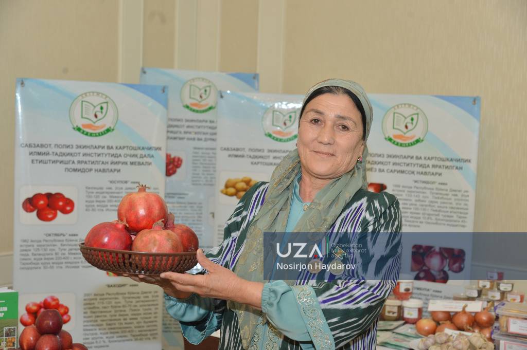 Libosdagi etuk xonimlar, shaxsiy fotosuratlar