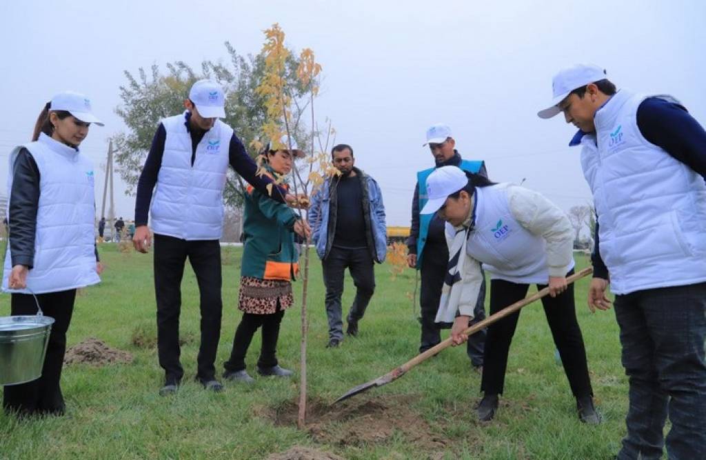 “Yashil makon” umummilliy loyihasini amalga oshirish orqali ekologik barqarorlik yaxshilanadi