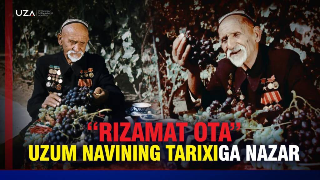 “Rizamat ota” uzum navining tarixiga nazar (+video)