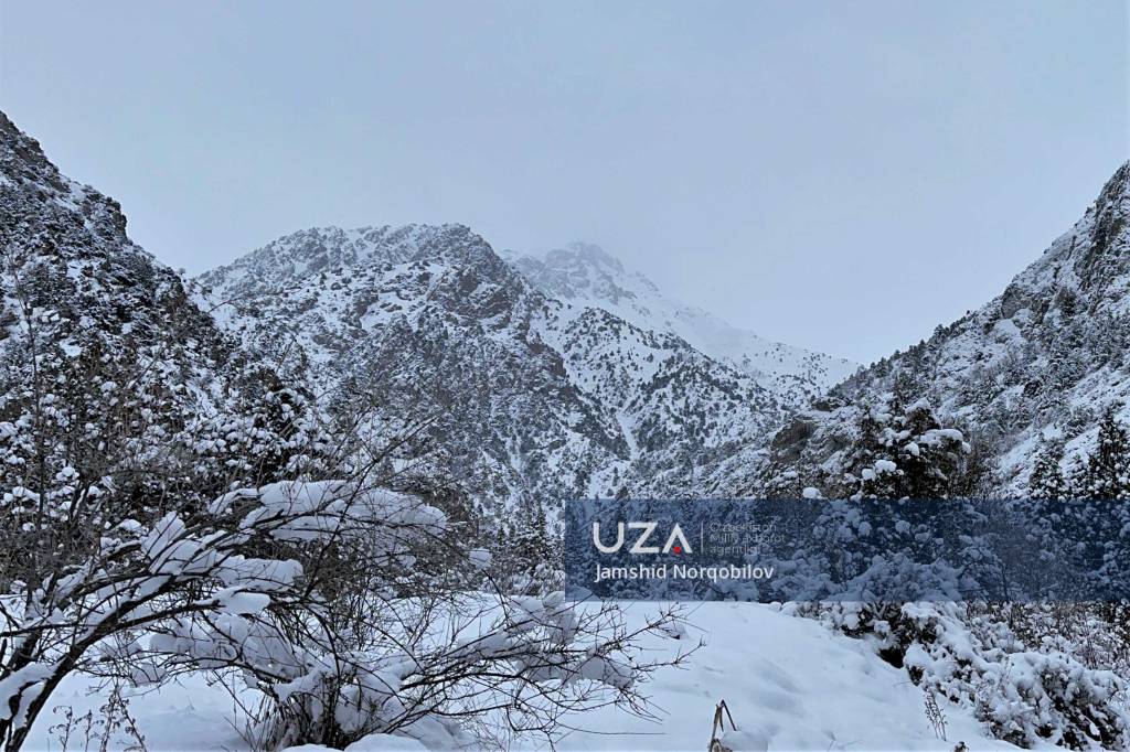 Bepul porno toplami tukli musulmon pussies yaqin planlar