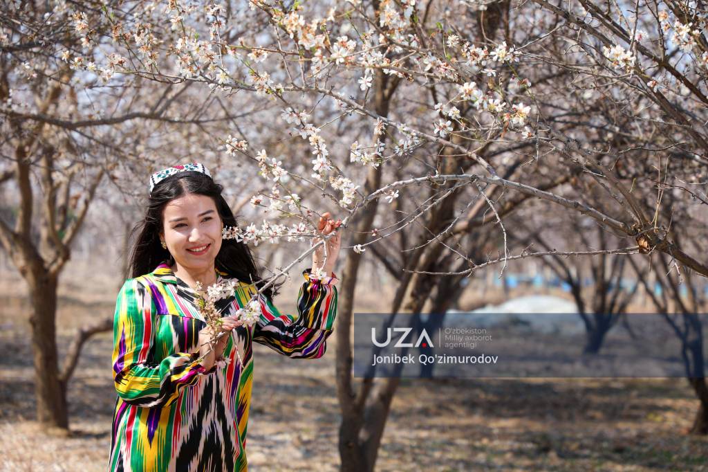 Gey porno multfilmlarini tomosha qiling