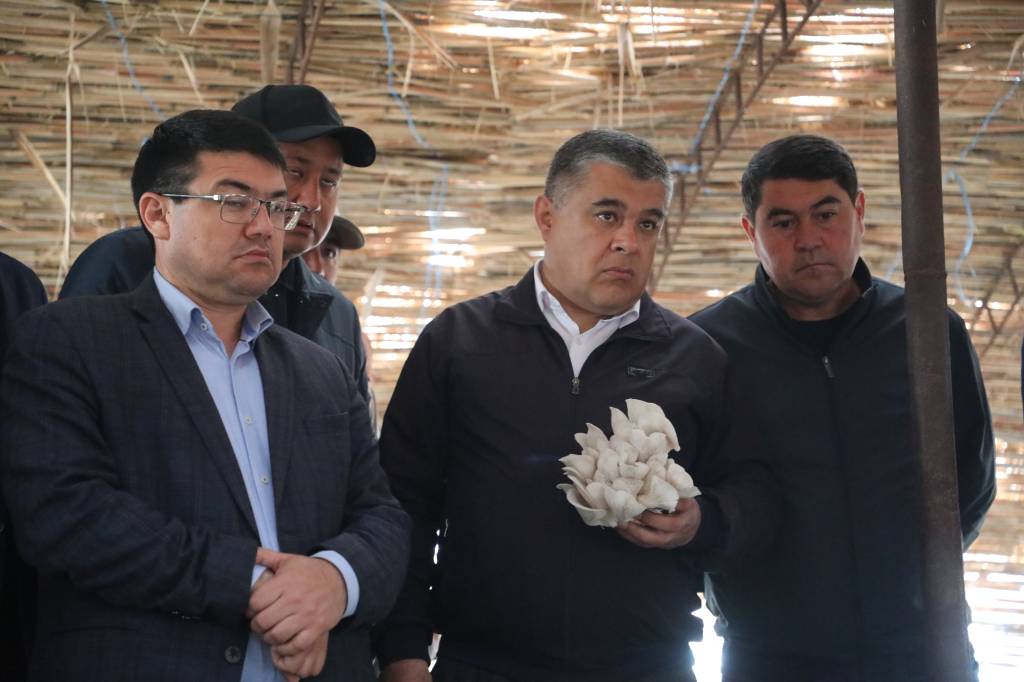 Tolyattidagi fohisha tashqariga chiqish uchun mavjud