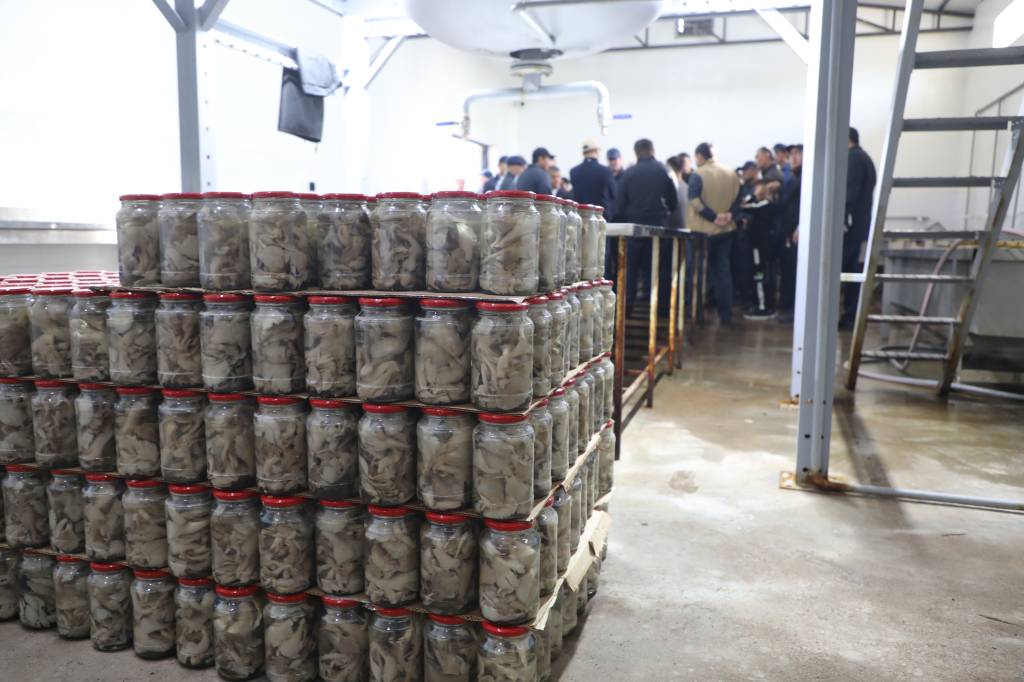 Transseksuallar uchun ichki kiyim